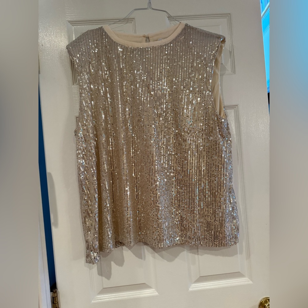 G.I.L.I. Sparkling Sleeveless Blouse - Silver
